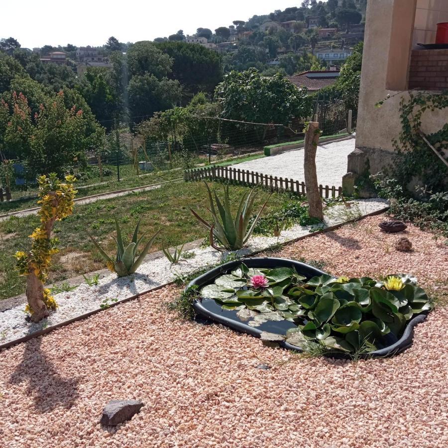 Villa Blanca 10 Minutos De La Playa Costa Brava Maçanet de la Selva Kültér fotó